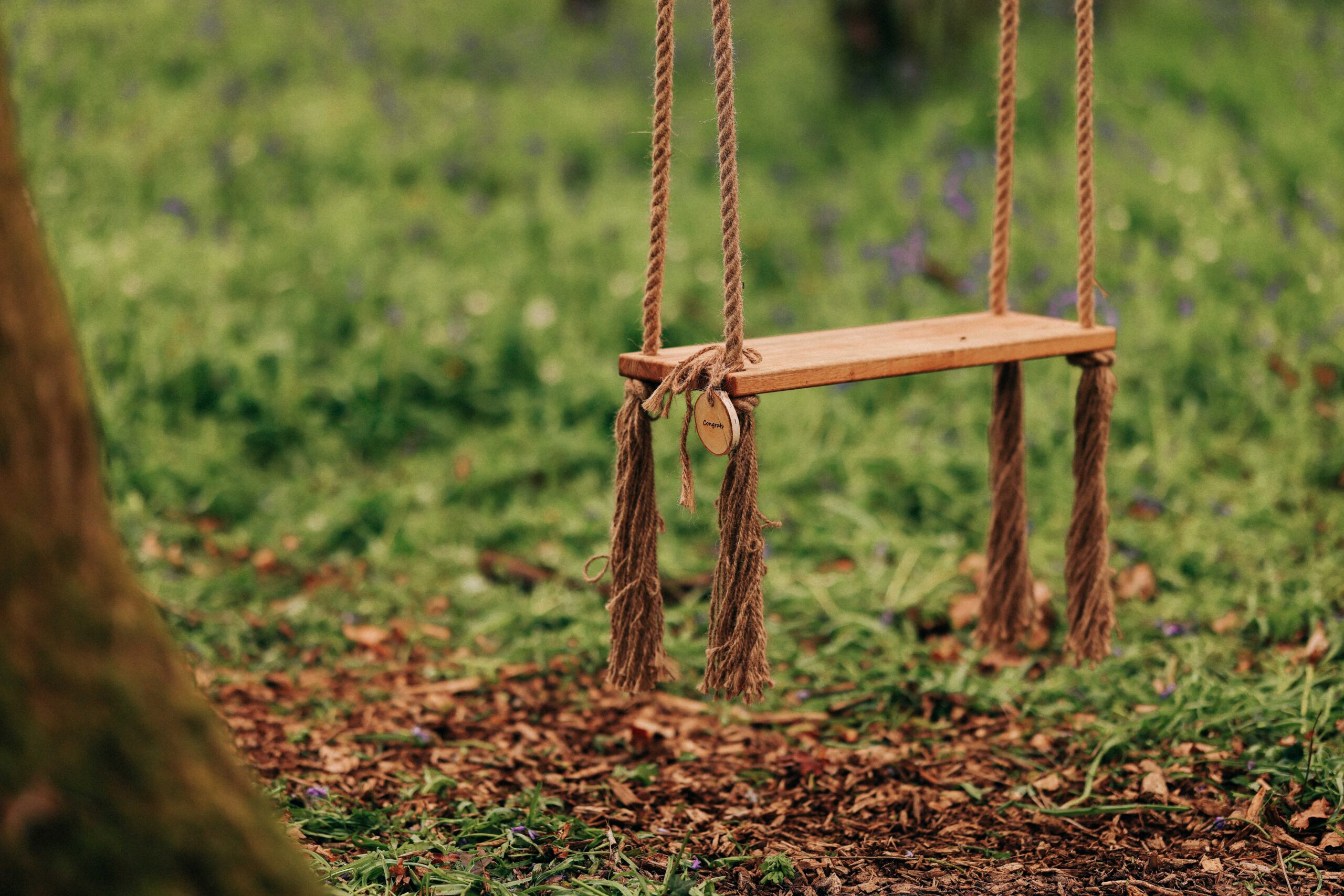 Woodland swing