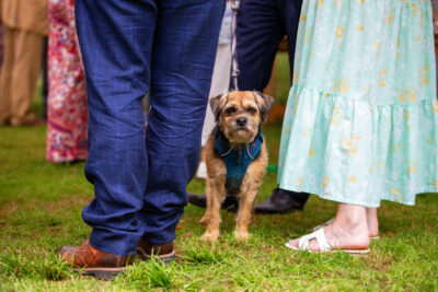 a dog standing between people's legs at a wedding