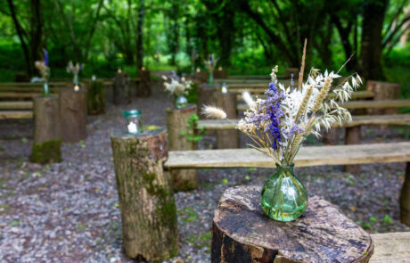 flowers in jars at the end of benches in the ceremony area at the woods at oakley