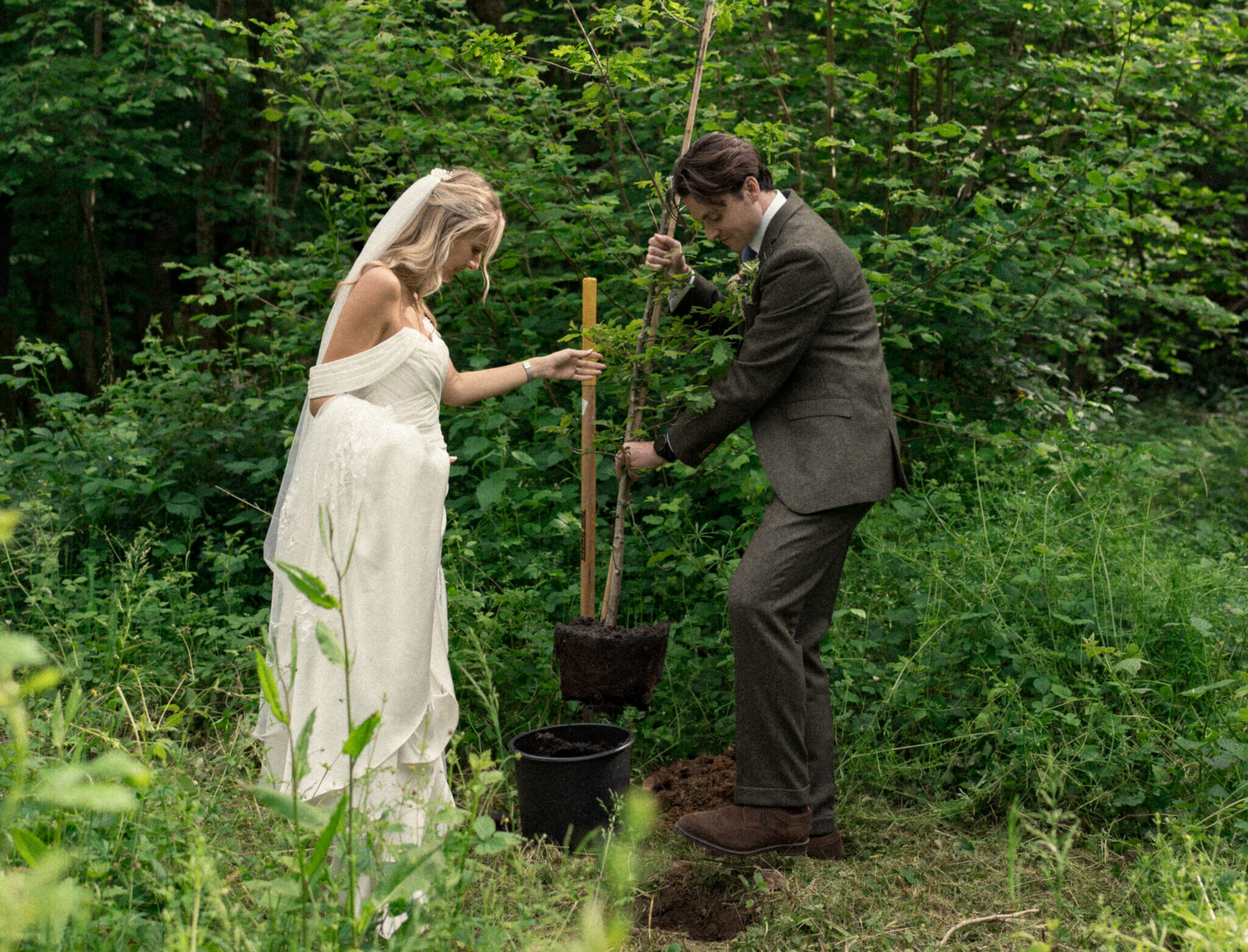 A bride and groom plant their wedding tree in a woodland.