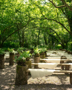 benches in the Woods at Oakley woodland with white rugs on top, fern at the end of the rows and a canopy of trees overhead.