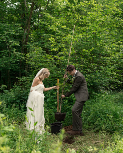 a bride and groom plant a tree in a woodland at the Woods at Oakley.