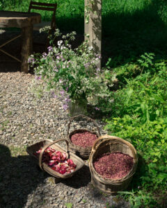 baskets of confetti in a woodland