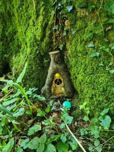 a fairy door in a tree surrounded by plants