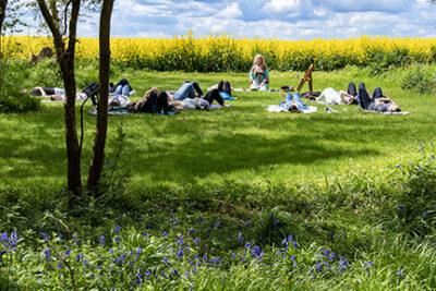 a group of peoople sit in a woodland in summer, being led in a forest bathing activity