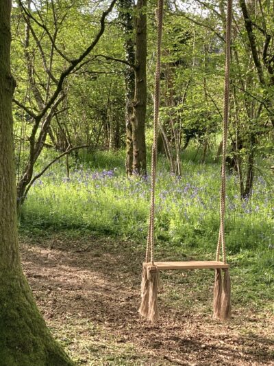 a wooden swing hangs from a tree in a bluebell wood