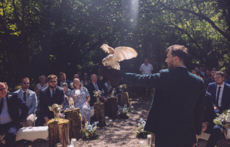 Owl ring bearer Owl ring bearer